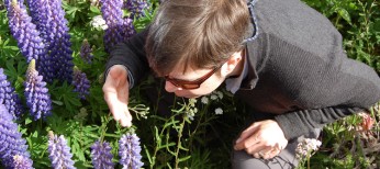 Estudiar Aromaterapia Qué se estudia en Aromaterapia