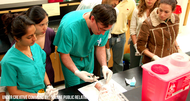 estudiar medicina en canada estudiar medicina en canada