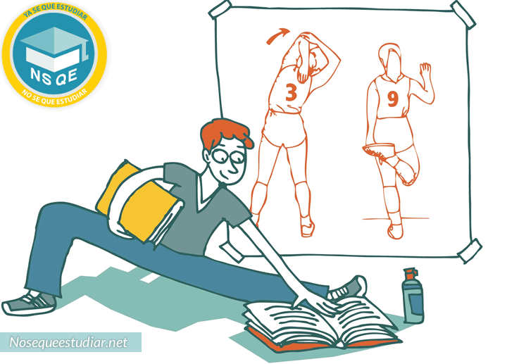 Resultado de imagen para educacion fisica